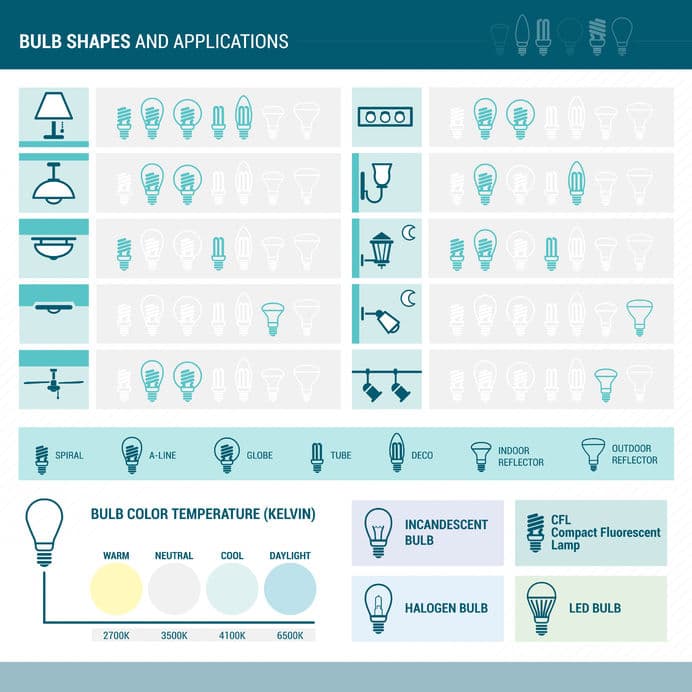 Infographic showing different types of light bulbs
