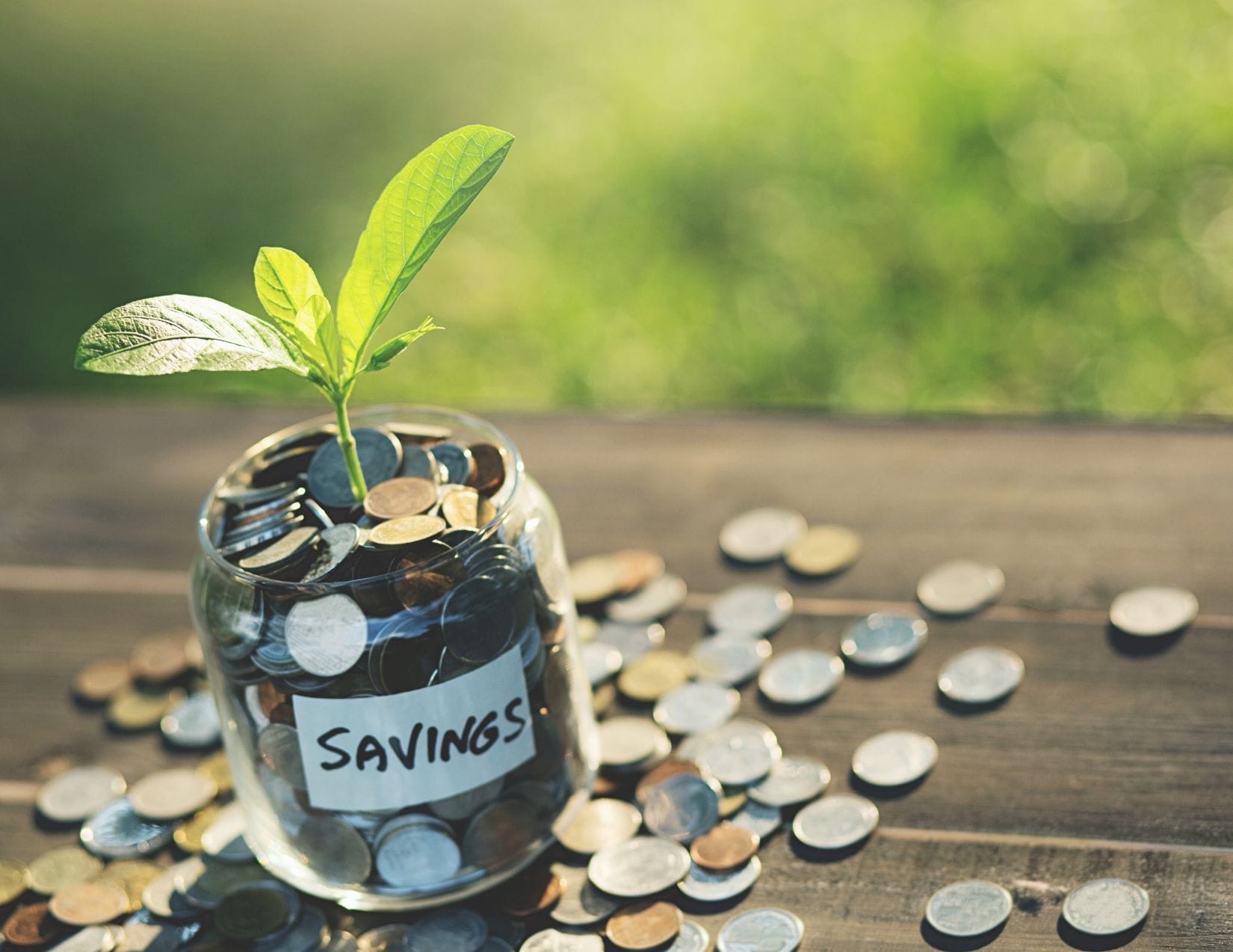 A small plant grows from a glass jar filled with coins labeled "savings," with more scattered around on a wooden surface, set against a blurred green background. This image symbolizes the growth of your premium electric savings for a sustainable future.