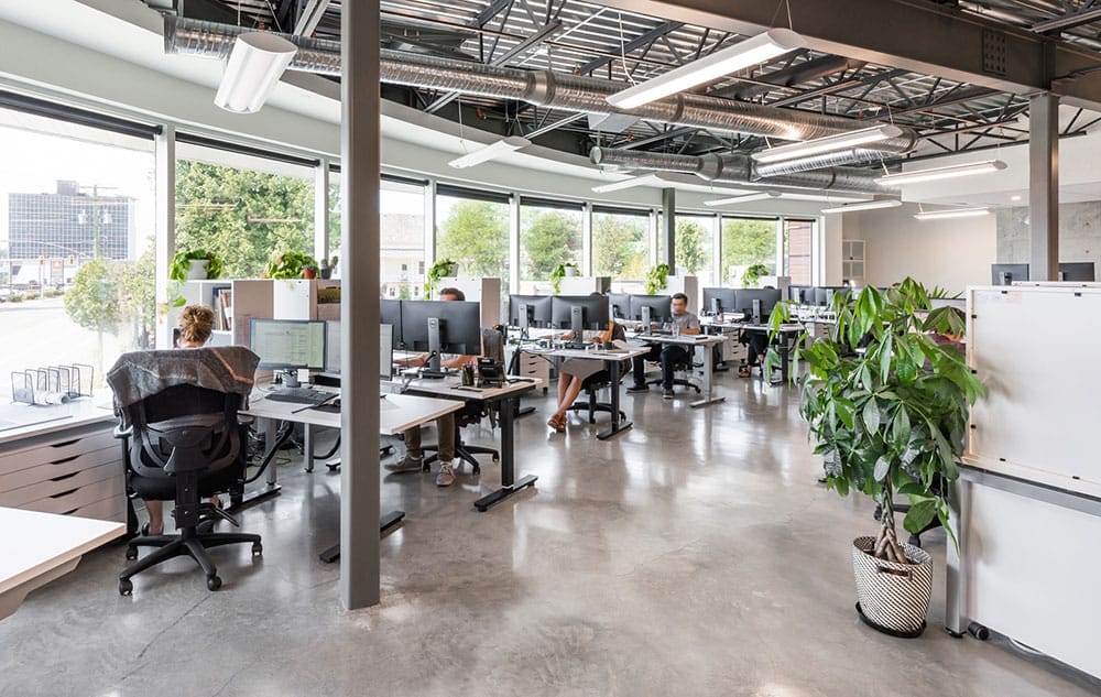 Open-plan office with modern design, featuring several employees working at desks with computers, large windows, ample natural light, and potted plants. The space is enhanced with premium electric amenities for an efficient and comfortable work environment.